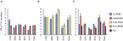 Somatic Embryo Yield and Quality From Norway Spruce Embryogenic Tissue Proliferated in Suspension Culture